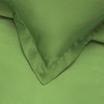 00-0252-IGUANA GREEN