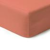 00-0268-CORAL