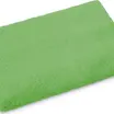 380-FERN GREEN