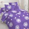 40-1217-VIOLET