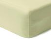 00-0188-PALE OLIVE