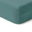 00-0486-TEAL