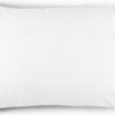 00-0000-OPTIC WHITE