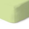 JERSEY-SHADOW LIME