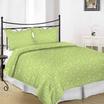 20-1735-SHADOW LIME