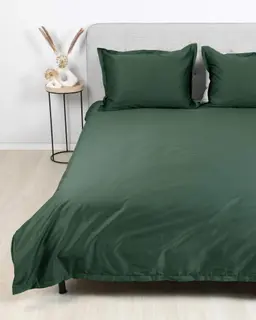 EXCLUSIVE gultas veļa TATUM 00-0433-DARK GREEN