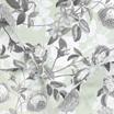 20-1733-SAGE