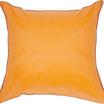 00-0010-ORANGE/KANT